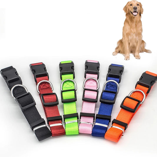 Solid Color Nylon Dog Collar