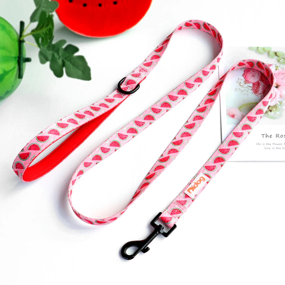 Graphic Design Printed Leash