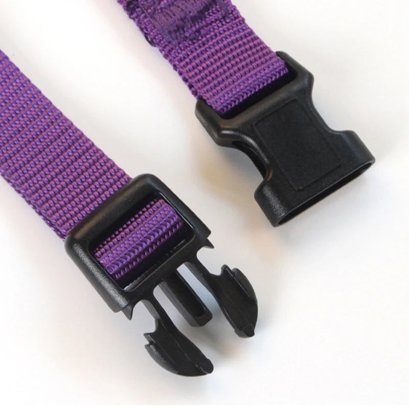 Solid Color Nylon Dog Collar