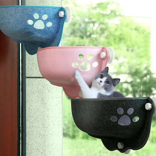 Sunny Window Basket Nest with Strong Suction Cups