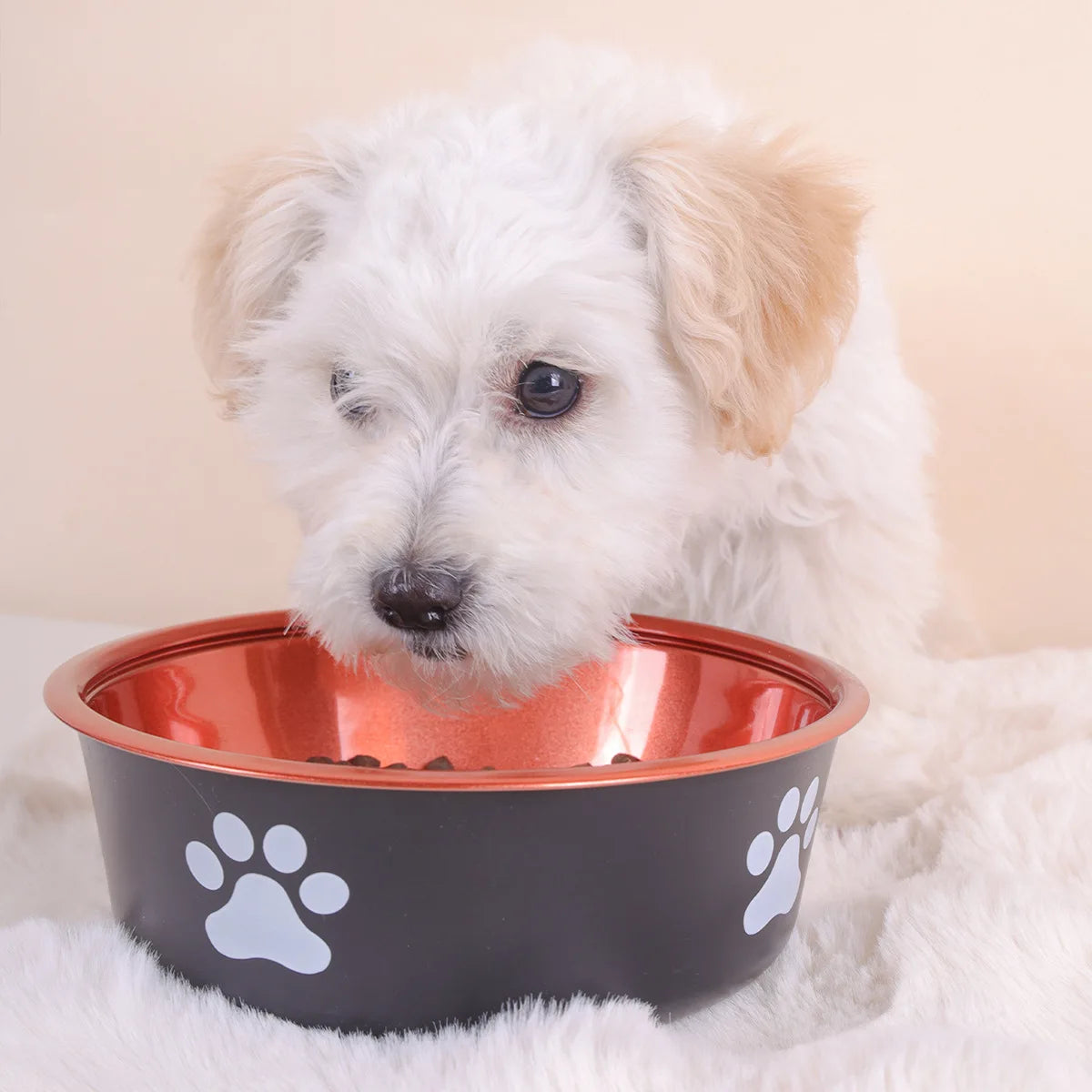 Stainless Steel Non-Slip Feeding Bowl