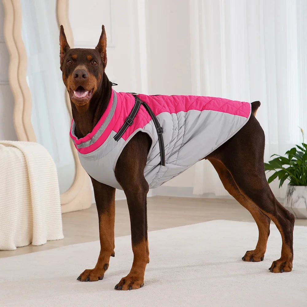 Low Neck Winter Coat for Dogs