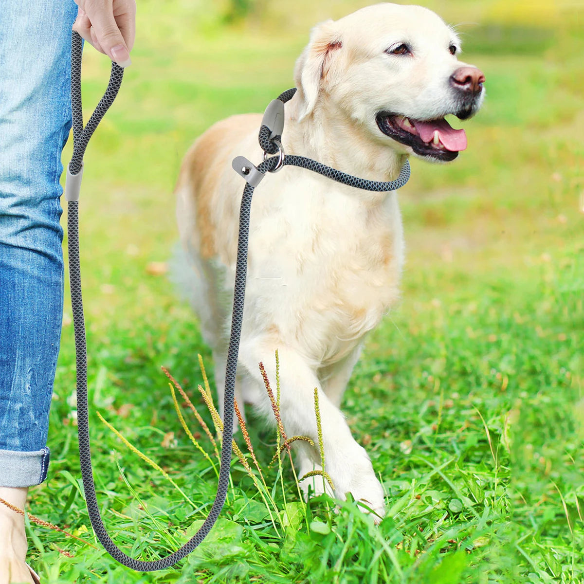 Design Rope Leash