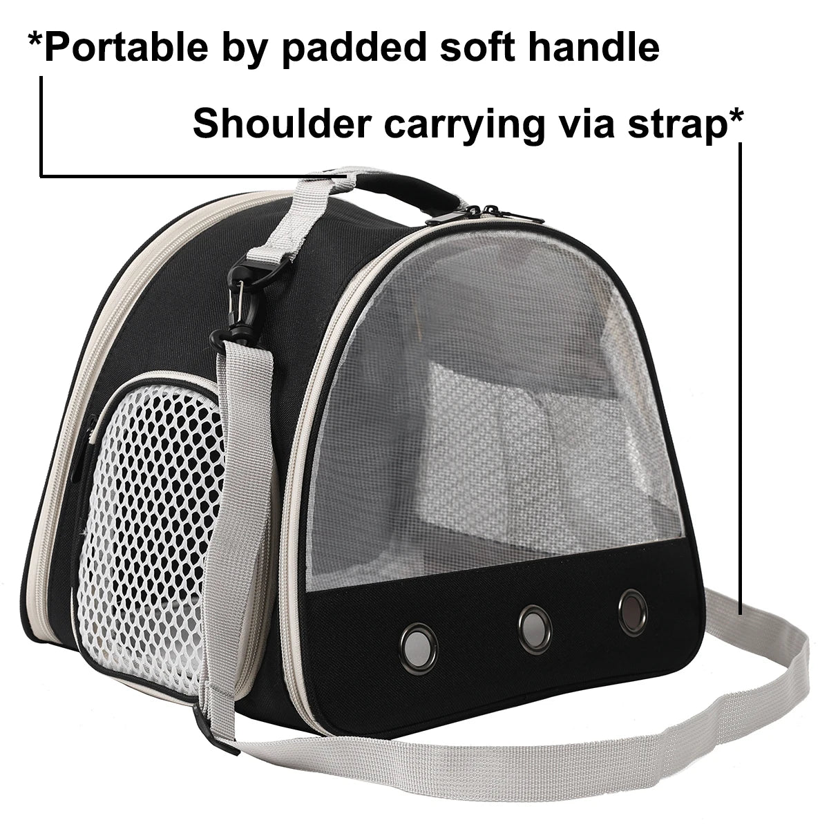 Portable Clear Carrier for Small Animal Transport