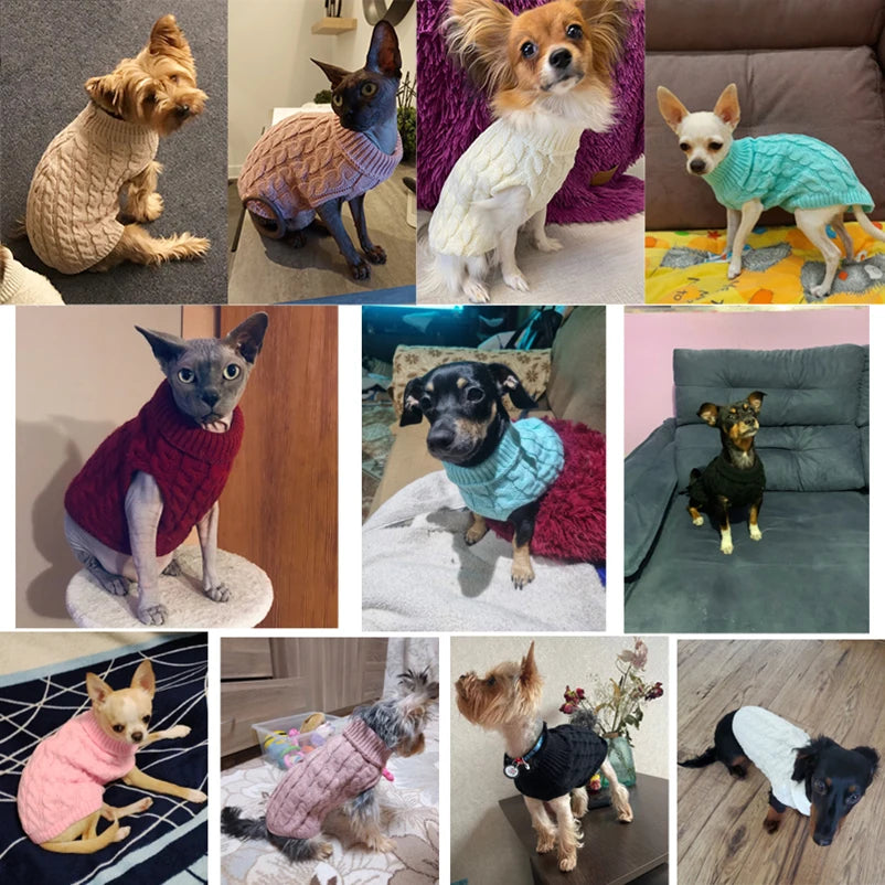 Sweaters for Small and Medium Dogs