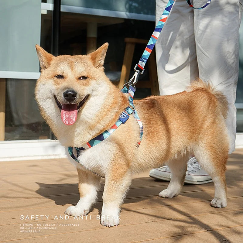 Dog Harness Vest and Leash Set Pet Vest Harness