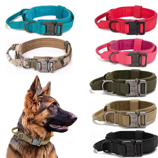 Tactical Training Collar