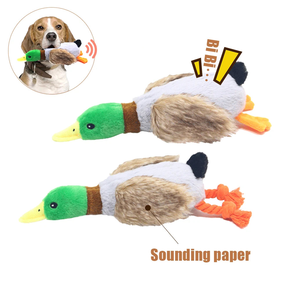 Plush Duck Squeaky Toy for Hunting Dogs