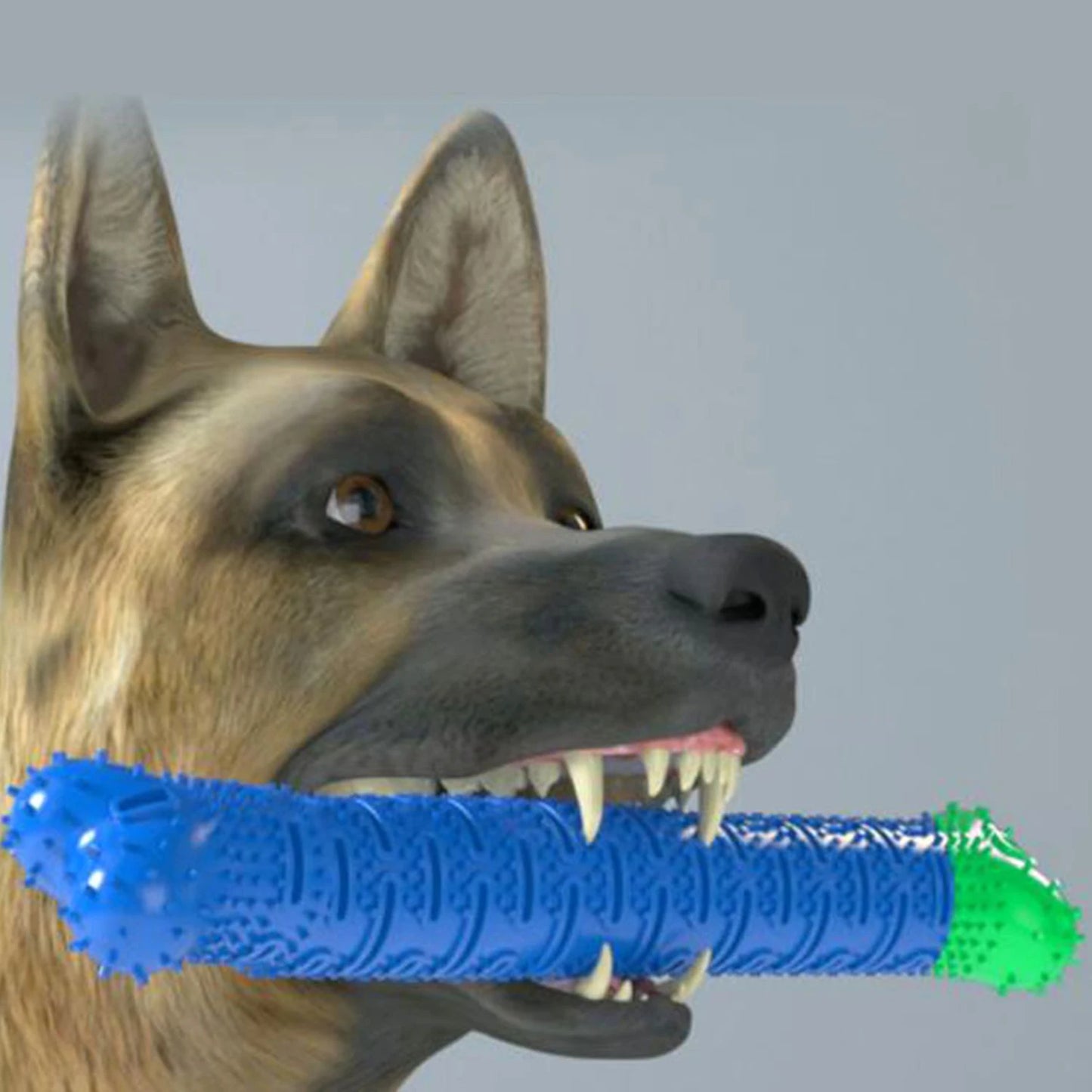 Teething Bone for Puppies and Dogs