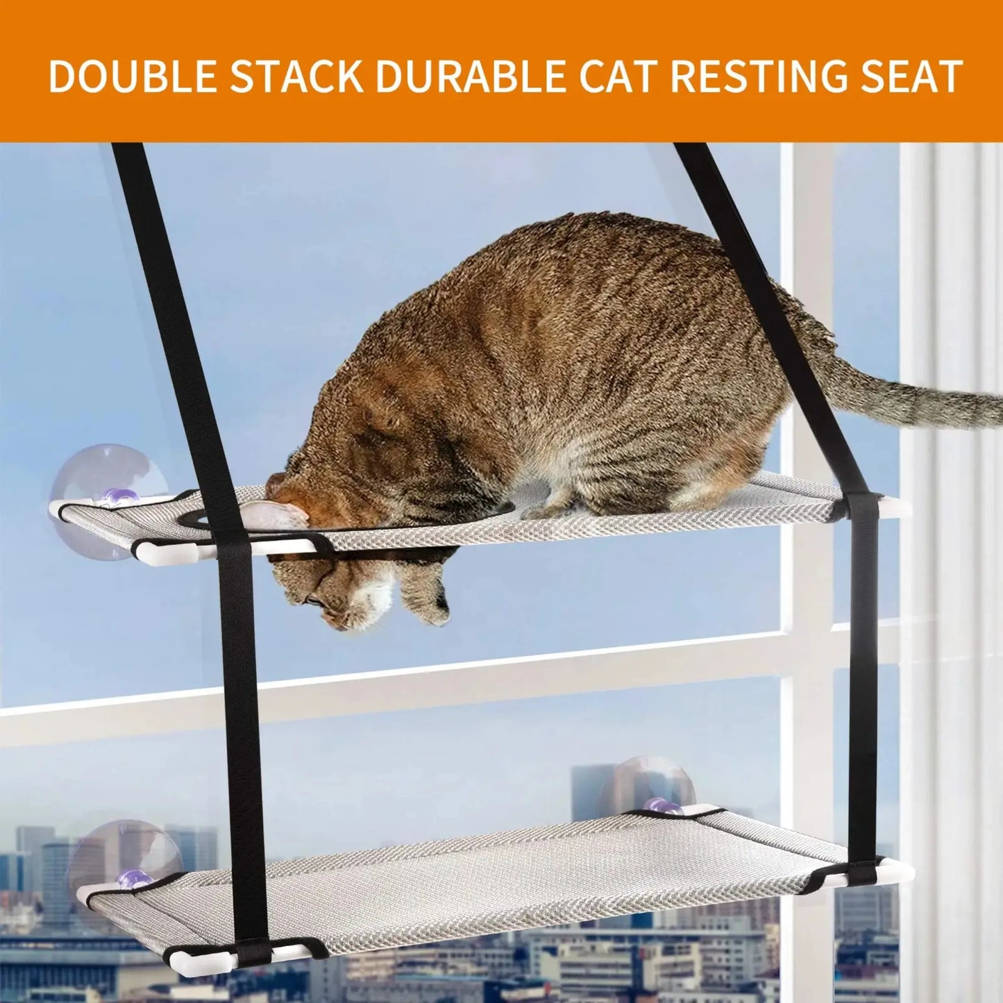 Double Stack Cat Window Perch with Strong Suction Cup