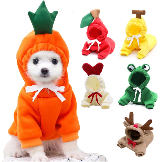 Cute, Stylish Hoodies for Small Dogs