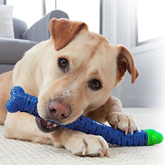 Teething Bone for Puppies and Dogs