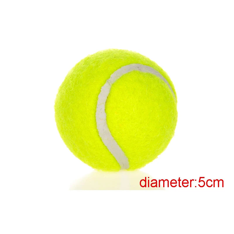 Dog Safe Tennis Balls (6 pack))