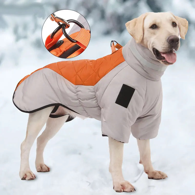 High Neck Winter Coat for Dogs