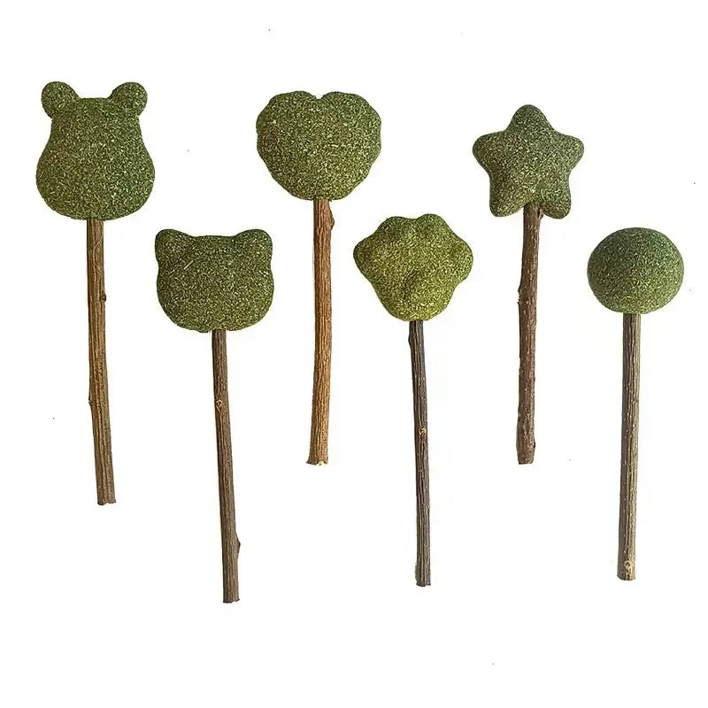 Cute Shape Fresh Catnip Lollipops