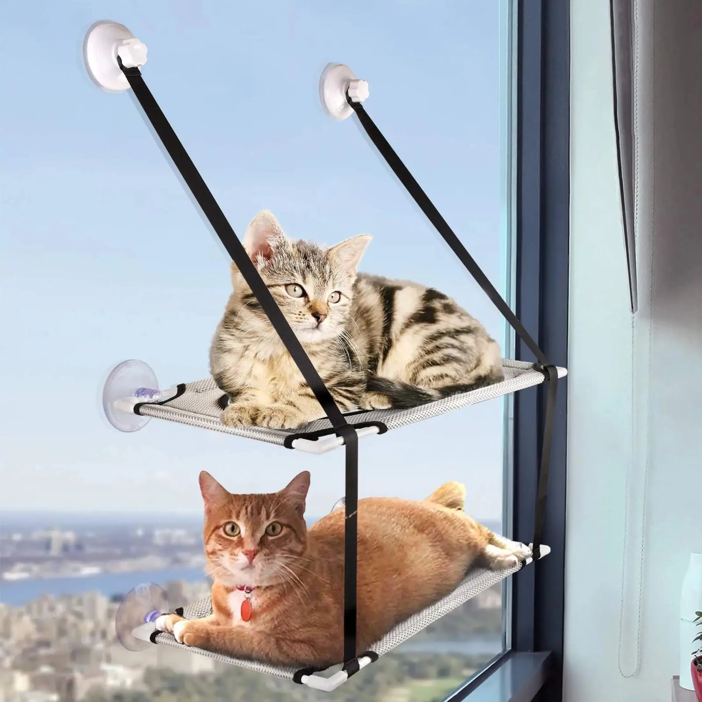 Double Stack Cat Window Perch with Strong Suction Cup