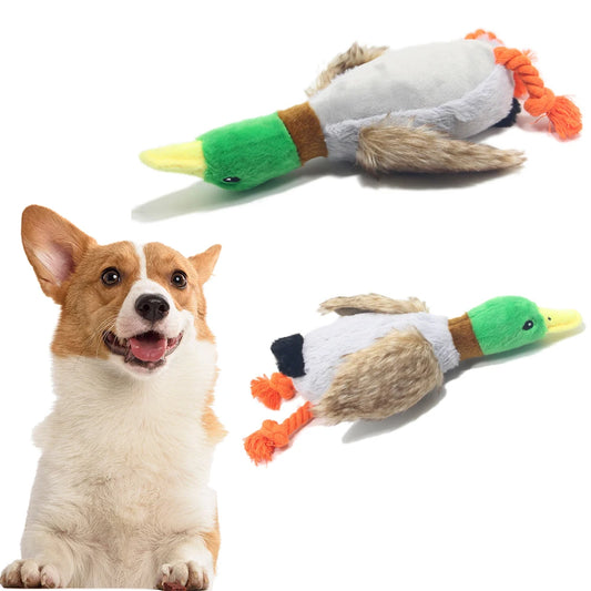 Plush Duck Squeaky Toy for Hunting Dogs