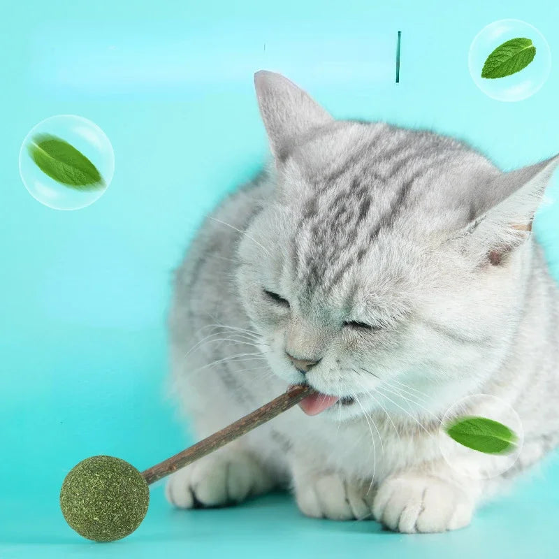 Cute Shape Fresh Catnip Lollipops