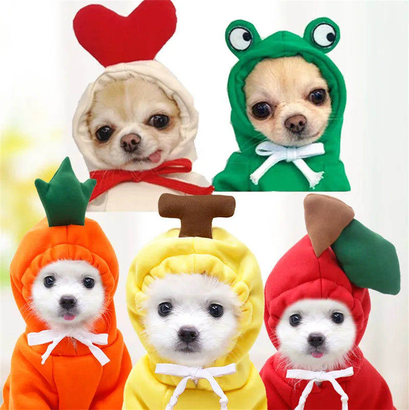 Cute, Stylish Hoodies for Small Dogs