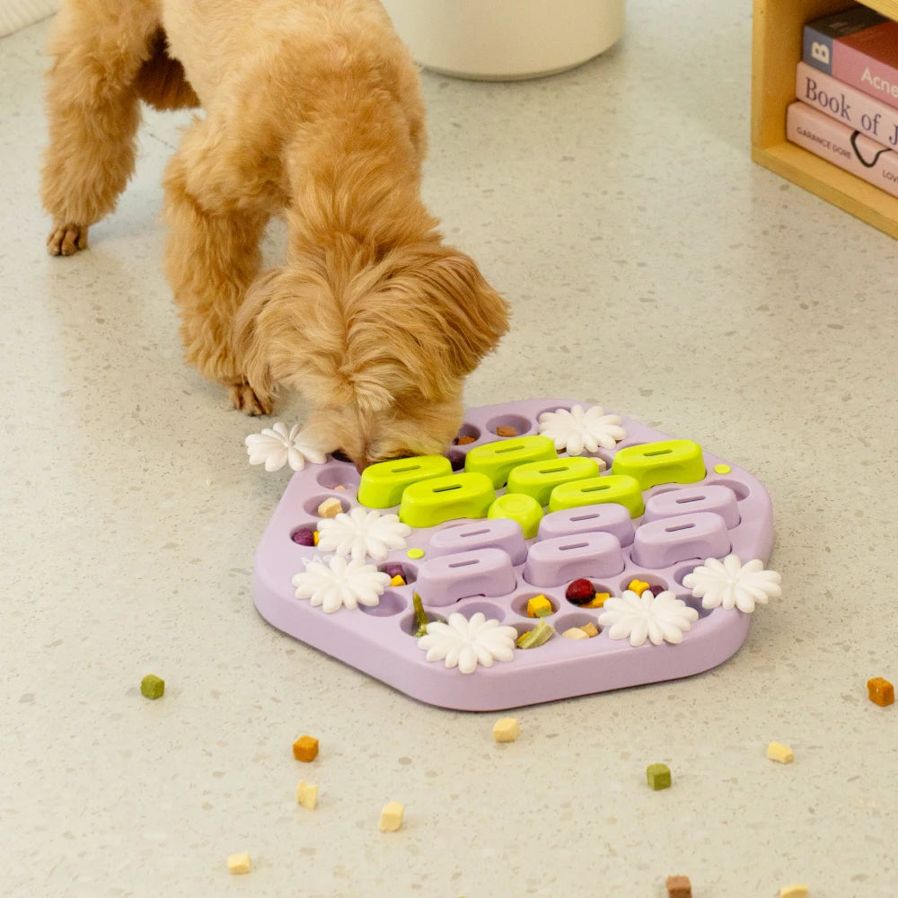 Slow Feeder Enrichment Puzzle for Dogs