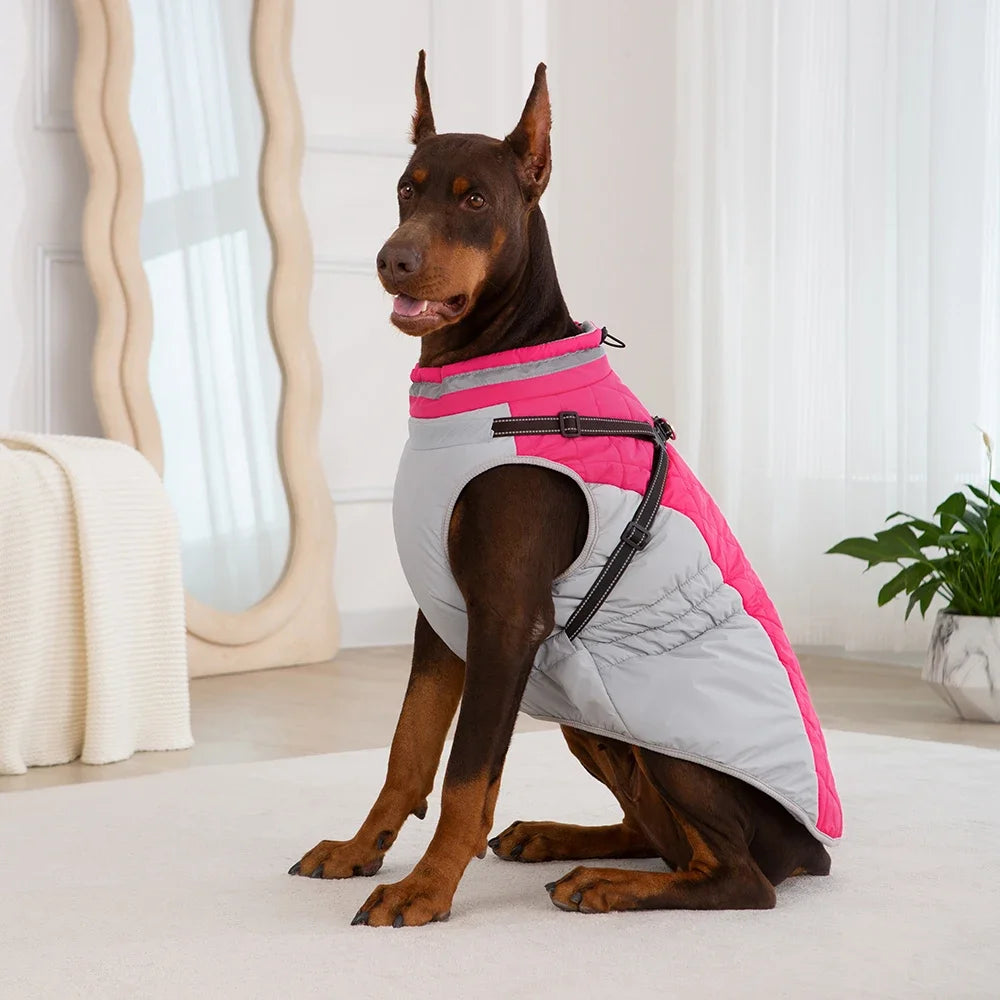 Low Neck Winter Coat for Dogs