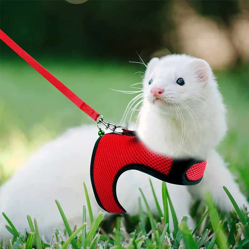 Mesh Breathable Harness for Small Animals